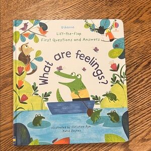 Usborne What Are Feelings? Lift-the-Flap Book- excellent condition